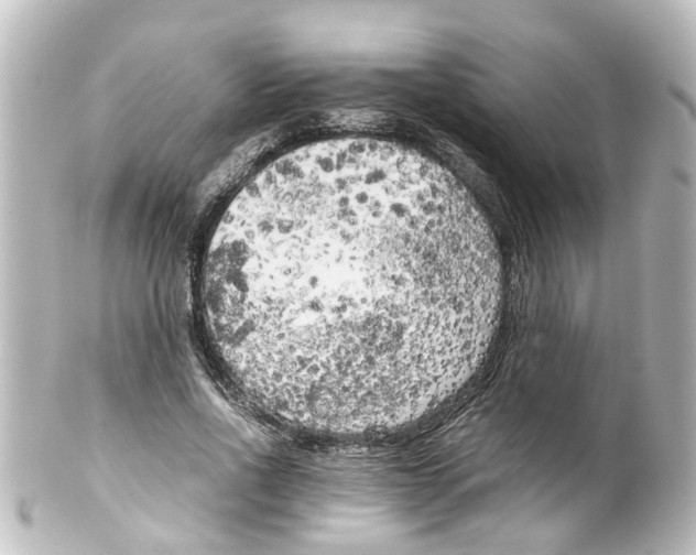 X0000100230734200806271749