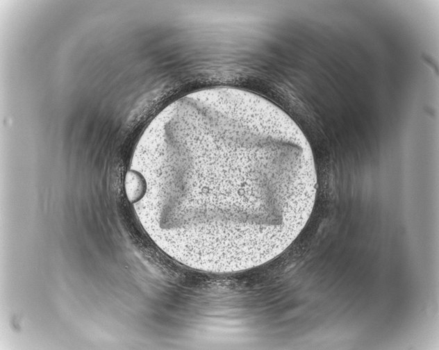 X0000100230736200806271749