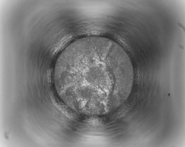 X0000100230738200806271750