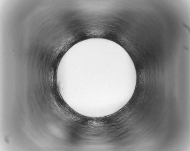 X0000100230739200806271750