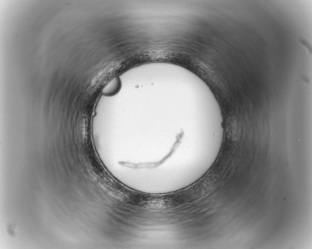 X0000100230740200806271750