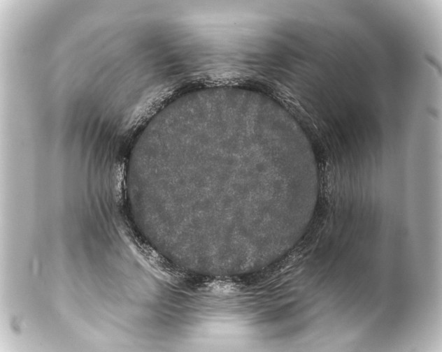 X0000100230742200806271750