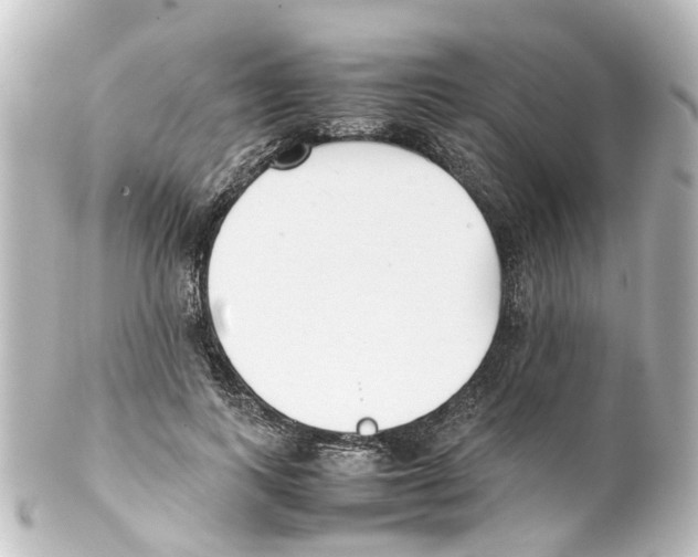 X0000100230743200806271750