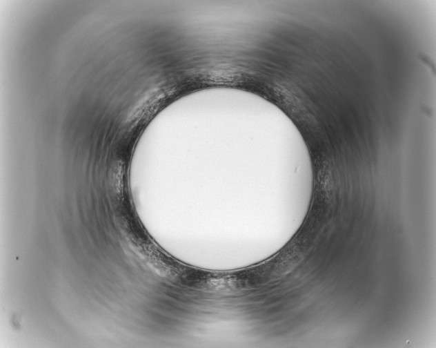 X0000100230744200806271750