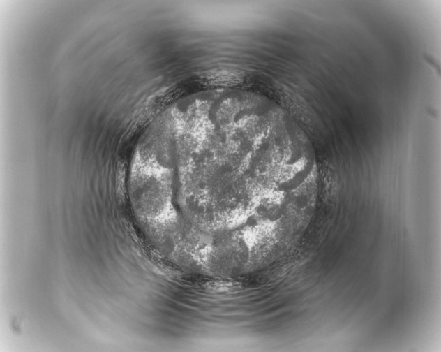 X0000100230745200806271750