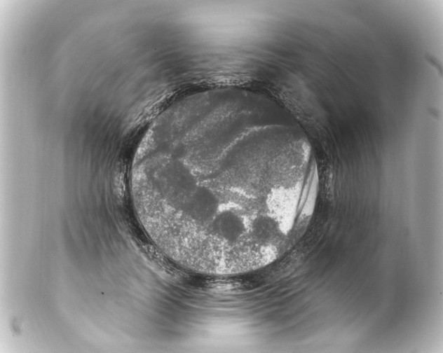 X0000100230746200806271750