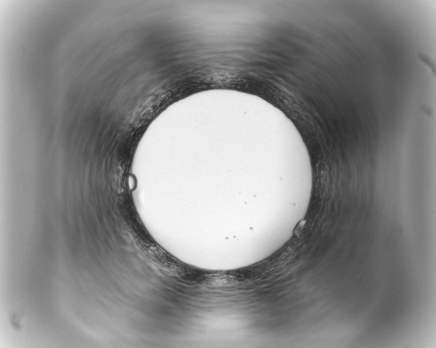 X0000100230750200806271750