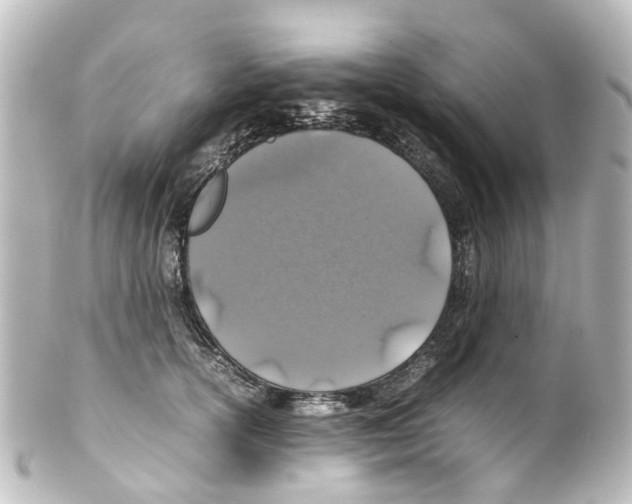 X0000100230754200806271750