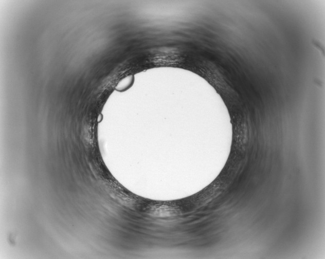 X0000100230755200806271750