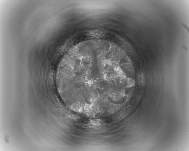 X0000100230757200806271750