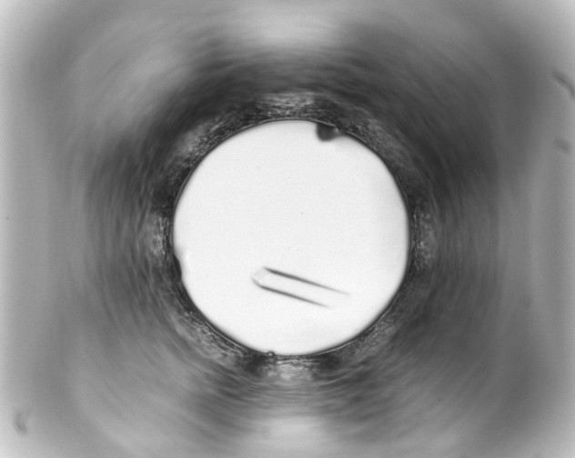 X0000100230758200806271750