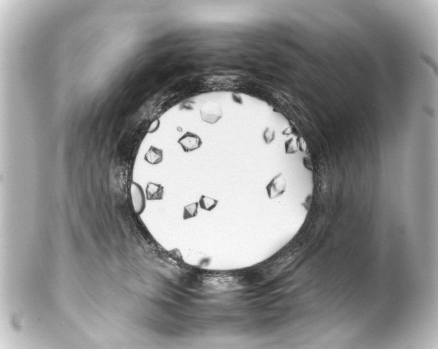 X0000100230759200806271750