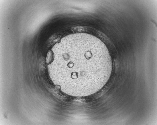 X0000100230760200806271750