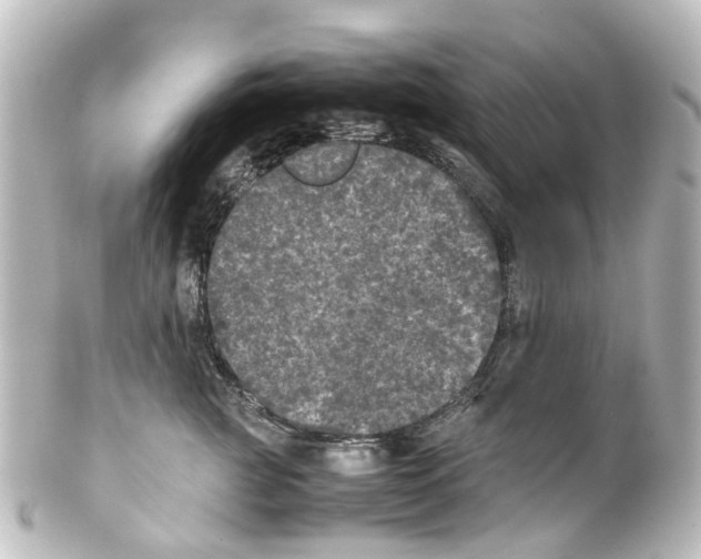 X0000100230761200806271750