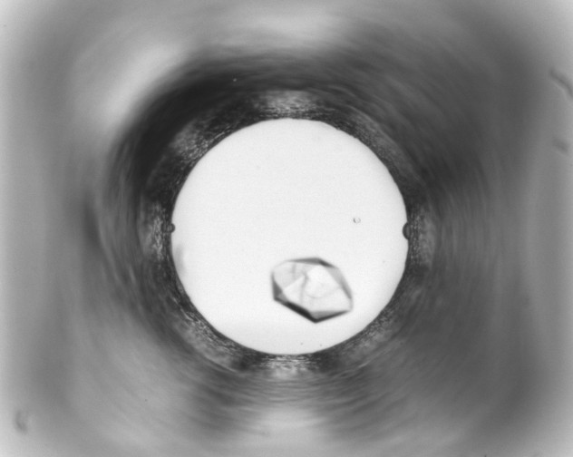 X0000100230762200806271750