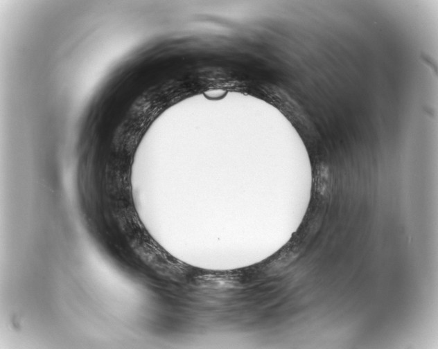 X0000100230763200806271750