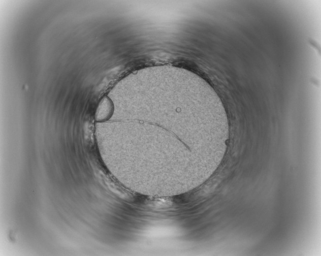 X0000100230768200806271750