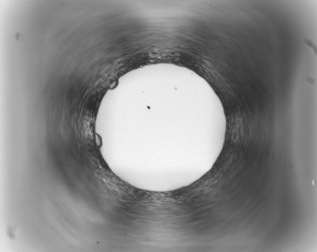 X0000100230770200806271749