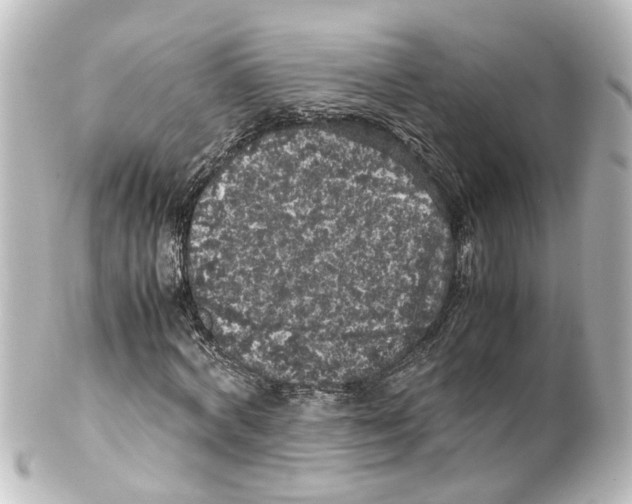 X0000100230772200806271749