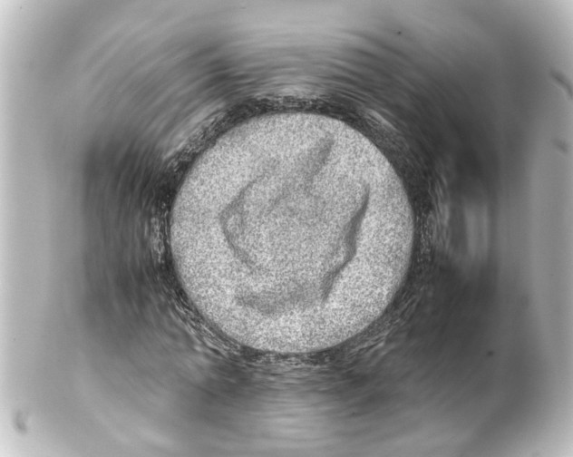 X0000100230774200806271749