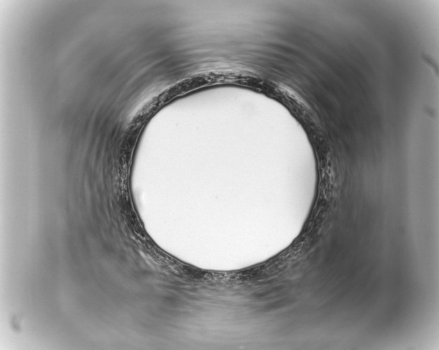 X0000100230775200806271749