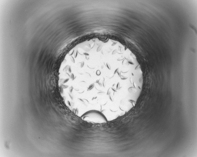 X0000100230776200806271749
