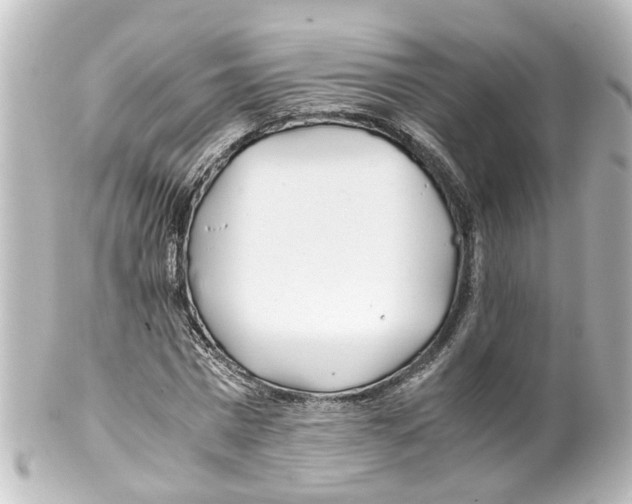 X0000100230777200806271749