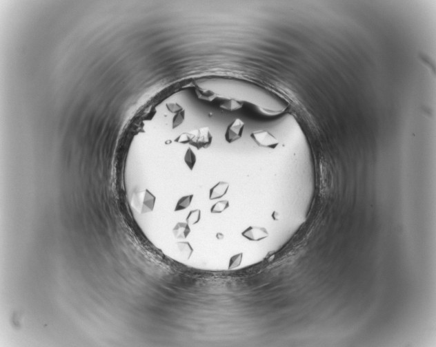 X0000100230780200806271749