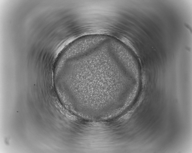 X0000100230781200806271749