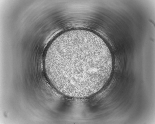 X0000100230782200806271749