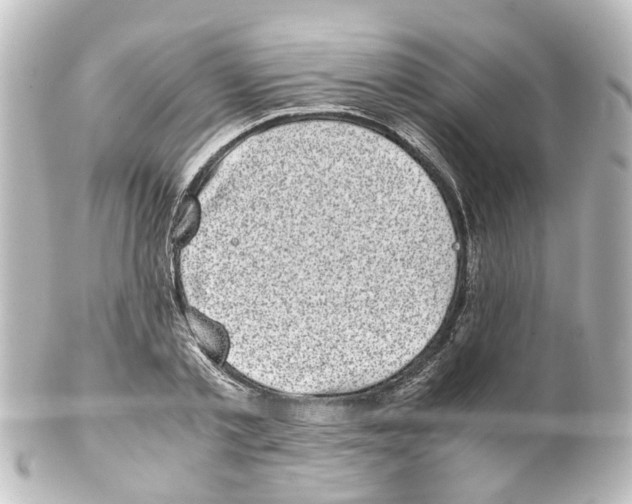 X0000100230789200806271749