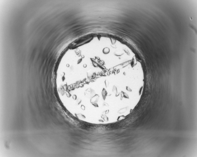 X0000100230791200806271749
