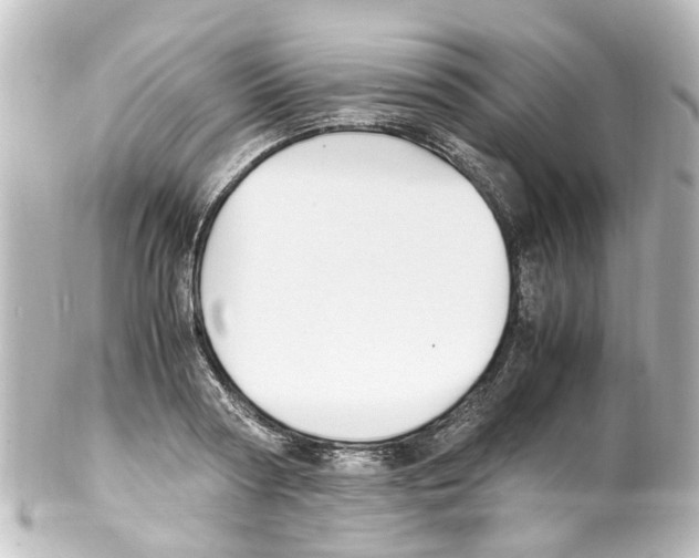 X0000100230794200806271749