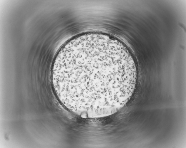 X0000100230799200806271749