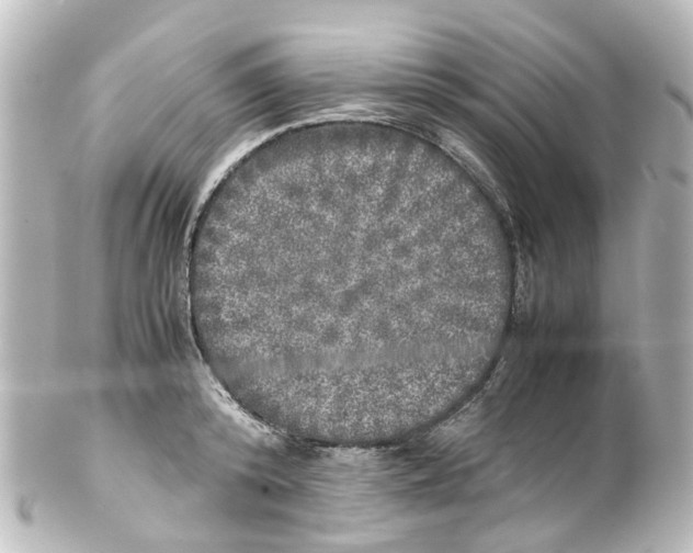 X0000100230800200806271749