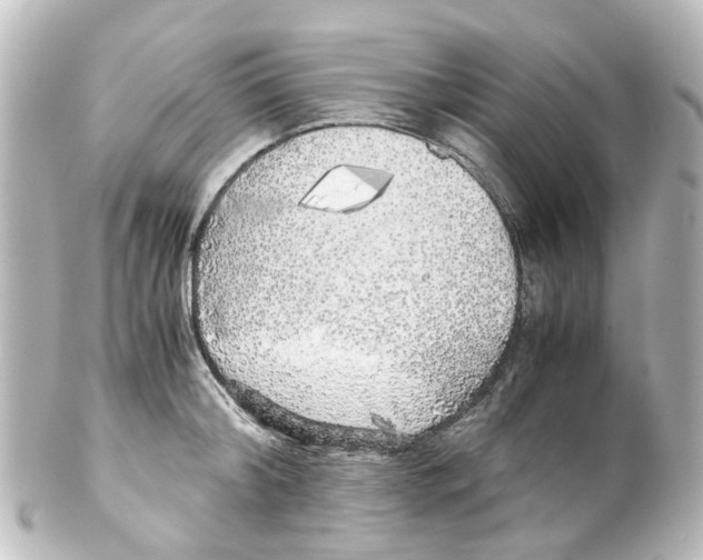X0000100230804200806271749