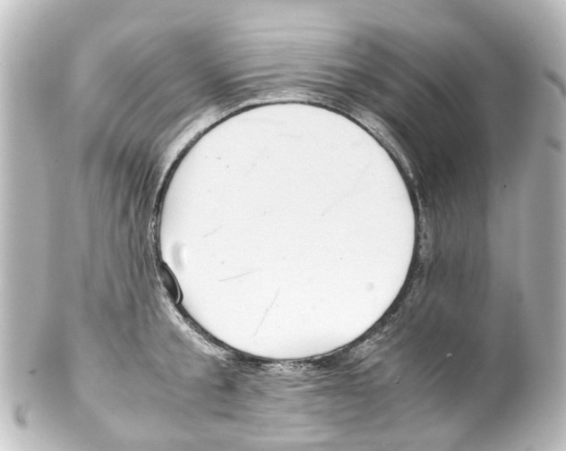 X0000100230805200806271749