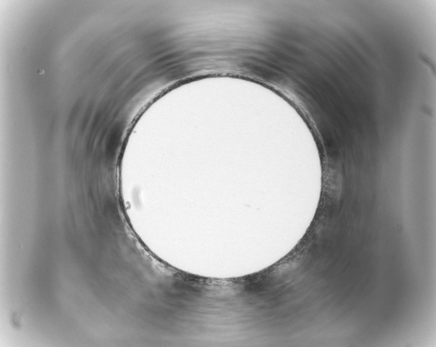 X0000100230807200806271749