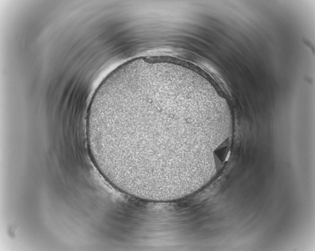 X0000100230808200806271749