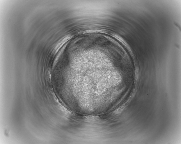 X0000100230809200806271749