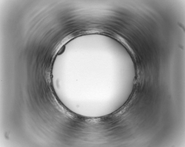 X0000100230810200806271749