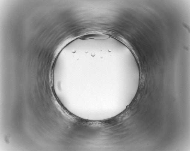 X0000100230811200806271748