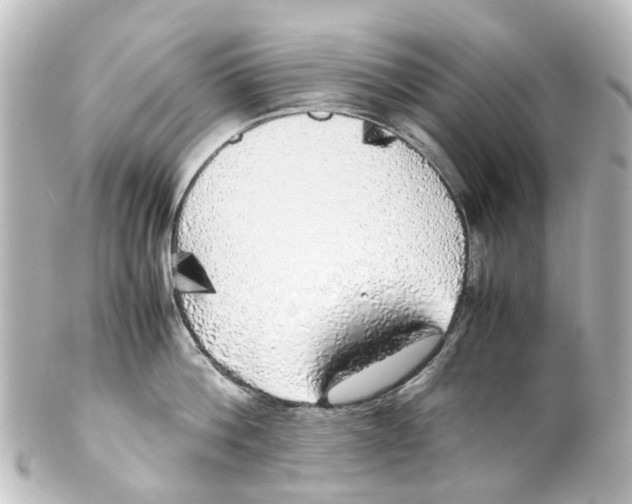 X0000100230812200806271748