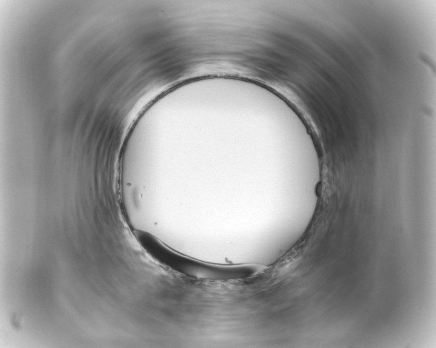 X0000100230815200806271748