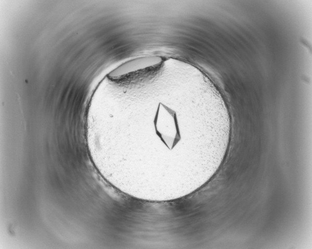 X0000100230816200806271748