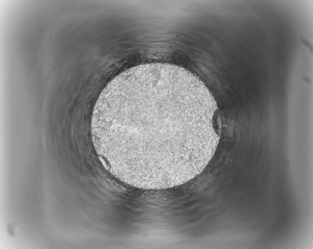 X0000100230817200806271748