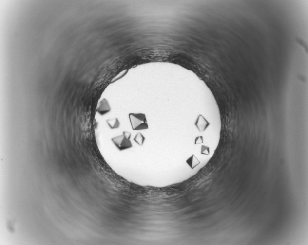 X0000100230818200806271748