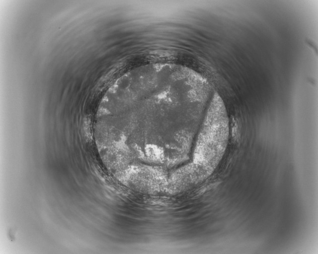 X0000100230819200806271748
