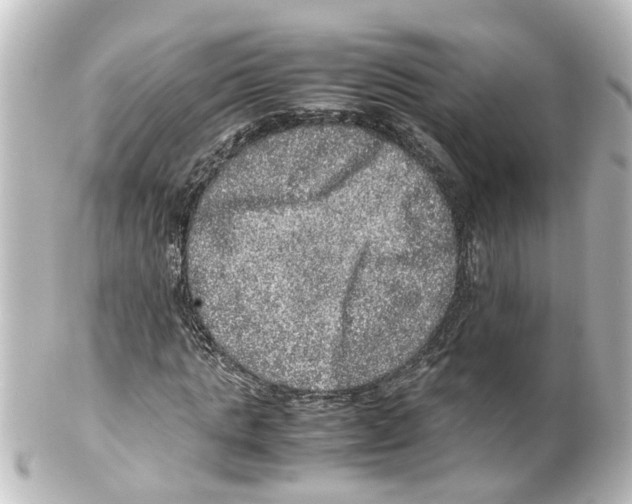 X0000100230821200806271748