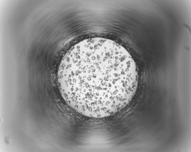 X0000100230822200806271748